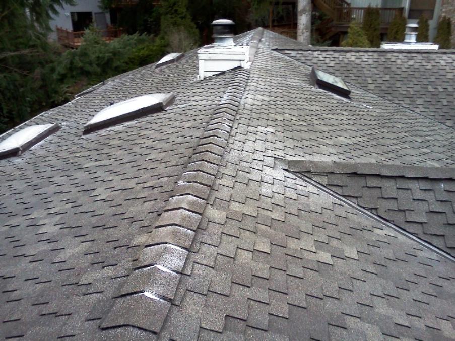 Is Moss Bad For Your Roof? — Clean Break Home Services